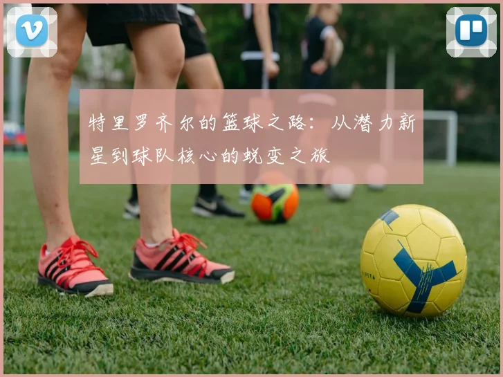 特里罗齐尔的篮球之路：从潜力新星到球队核心的蜕变之旅
